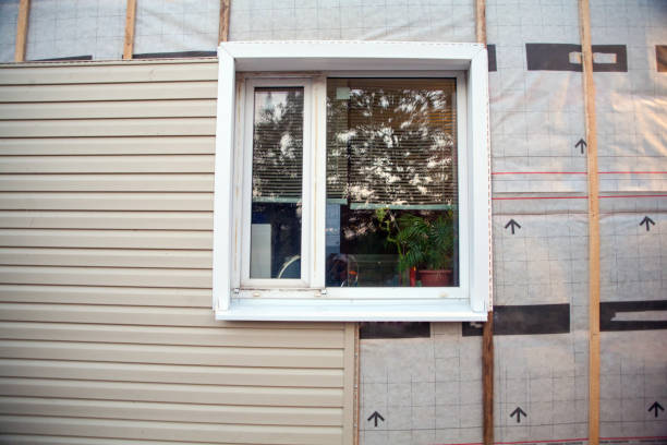 Affordable Siding Repair and Maintenance Services in Edinburg, IL