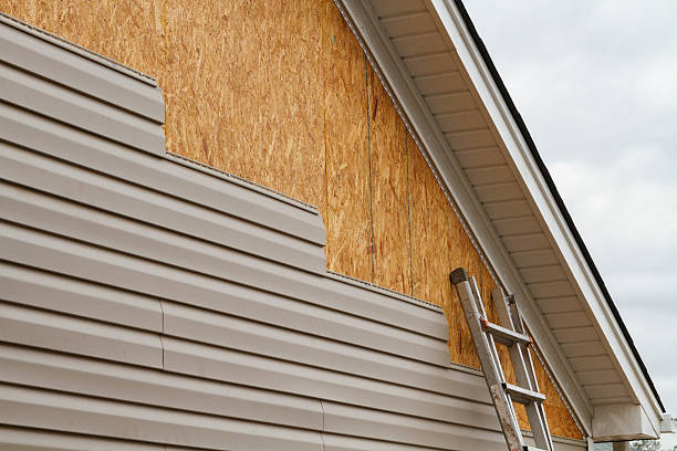 Storm Damage Siding Repair in Edinburg, IL